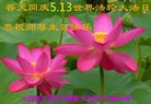 法轮功,山西大法弟子恭贺世界法轮大法日暨师尊华诞(25条)