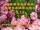 ֹ,ľ˹󷨵ӹ編ִʦ𻪵(20)