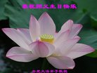 ֹ,մ󷨵ӹ編ִʦ𻪵(25)
