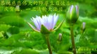 ֹ,ľ˹󷨵ӹ編ִʦ𻪵(20)