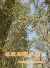ֹ,󷨵ӹ編ִʦ𻪵(26)
