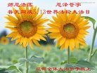 ֹ,ʡ󷨵ӹ編ִʦ𻪵(26)