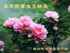 ֹ,֣ݴ󷨵ӹ編ִʦ𻪵(28)