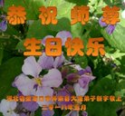 ֹ,żҿڴ󷨵ӹ編ִʦ𻪵(23)