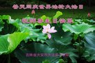 ֹ,ʡ󷨵ӹ編ִʦ𻪵(26)