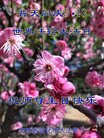 ֹ,ʡ󷨵ӹ編ִʦ𻪵(26)