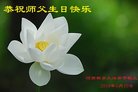 法轮功,河南大法弟子恭贺世界法轮大法日暨师尊华诞(23条)