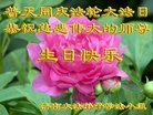 ֹ,ϴ󷨵ӹ編ִʦ𻪵(26)