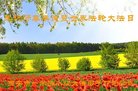 ֹ,󷨵ӹ編ִʦ𻪵(24)