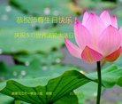 ֹ,ϴ󷨵ӹ編ִʦ𻪵(28)