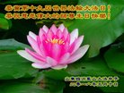 ֹ,ʴ󷨵ӹ編ִʦ𻪵(25)