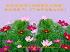 ֹ,ػʵ󷨵ӹ編ִʦ𻪵(26)