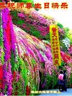 ֹ,Ϋ󷨵ӹ編ִʦ𻪵(24)