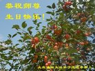 ֹ,󷨵ӹ編ִʦ𻪵(21)