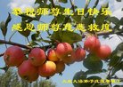 ֹ,󷨵ӹ編ִʦ𻪵(21)