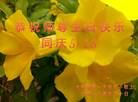 ֹ,ϴ󷨵ӹ編ִʦ𻪵(32)