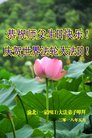 法轮功,重庆大法弟子恭贺世界法轮大法日暨师尊华诞(25条)