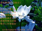ֹ,ľ˹󷨵ӹ編ִʦ𻪵(19)