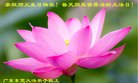 ֹ,㶫󷨵ӹ編ִʦ𻪵(25)