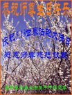 ֹ,д󷨵ӹ編ִʦ𻪵(23)