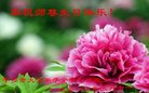 法轮功,湖南大法弟子恭贺世界法轮大法日暨师尊华诞(32条)