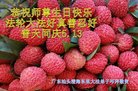 ֹ,㶫󷨵ӹ編ִʦ𻪵(25)
