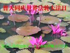 ֹ,ȷ󷨵ӹ編ִʦ𻪵(26)