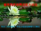 ֹ,ȷ󷨵ӹ編ִʦ𻪵(26)