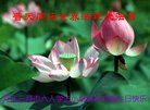 ֹ,ȷ󷨵ӹ編ִʦ𻪵(26)