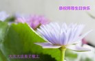 ֹ,󷨵ӹ編ִʦ𻪵(23)