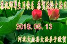 ֹ,ȷ󷨵ӹ編ִʦ𻪵(26)