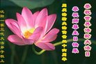 ֹ,󷨵ӹ編ִʦ𻪵(29)