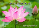ֹ,󷨵ӹ編ִʦ𻪵(18)