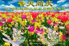 法轮功,潍坊大法弟子恭贺世界法轮大法日暨师尊华诞(27条)