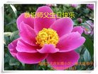 ֹ,󷨵ӹ編ִʦ𻪵(23)