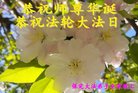 ֹ,󷨵ӹ編ִʦ𻪵(26)