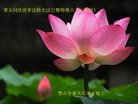 ֹ,󷨵ӹ編ִʦ𻪵(25)