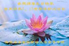 ֹ,󷨵ӹ編ִʦ𻪵(22)