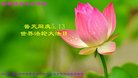 ֹ,ľ˹󷨵ӹ編ִʦ𻪵(19)