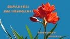 ֹ,󷨵ӹ編ִʦ𻪵(22)