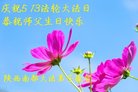 法轮功,陕西大法弟子恭贺世界法轮大法日暨师尊华诞(25条)