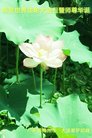 ֹ,㶫󷨵ӹ編ִʦ𻪵(29)