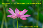 ֹ,ݴ󷨵ӹ編ִʦ𻪵(22)