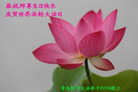 ֹ,ൺ󷨵ӹ編ִʦ𻪵(26)