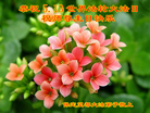 ֹ,󷨵ӹ編ִʦ𻪵(26)
