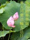 ֹ,ݴ󷨵ӹ編ִʦ𻪵(21)