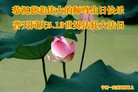 ֹ,󷨵ӹ編ִʦ𻪵(18)