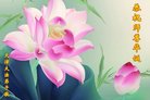 ֹ,󷨵ӹ編ִʦ𻪵(22)