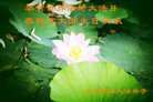ֹ,󷨵ӹ編ִʦ𻪵(23)