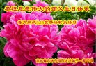 ֹ,д󷨵ӹ編ִʦ𻪵(23)